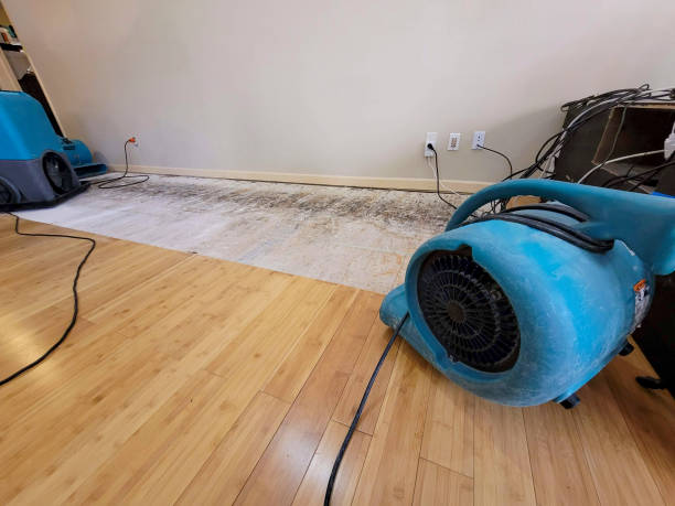 Professional Sewage Cleanup technician working in Muscadine, AL